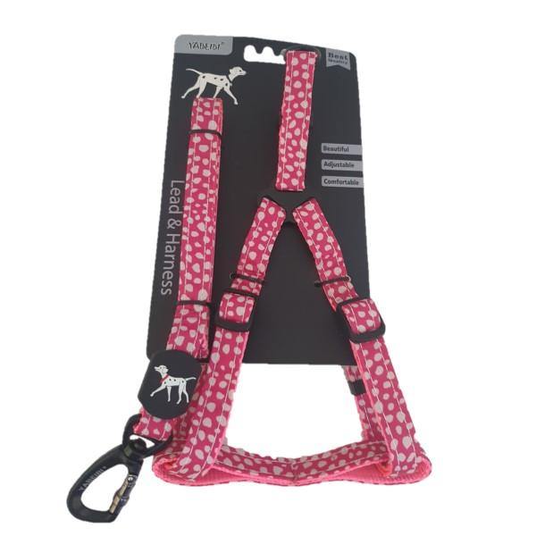 Extra Small Pet Leash & Harness Set - Assorted Colours - 4aPet