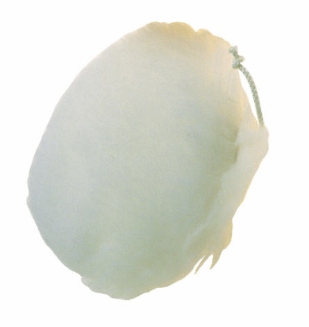 pg-lambswool-bonnet-190mm-pg33920-1