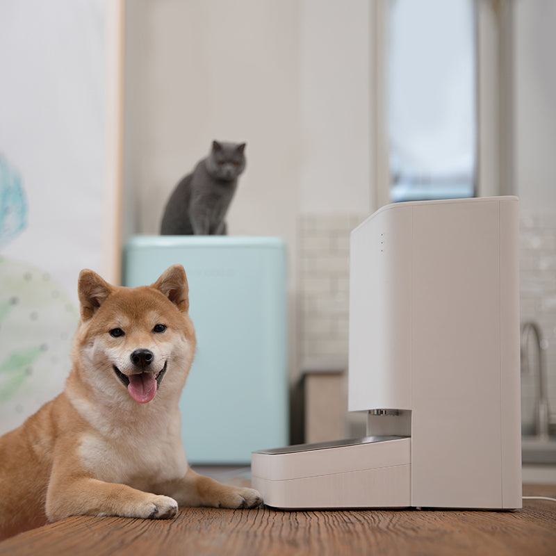 xiaomi-smart-pet-food-feeder-eu-5-image