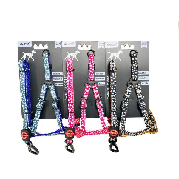 Extra Small Pet Leash & Harness Set - Assorted Colours - 4aPet