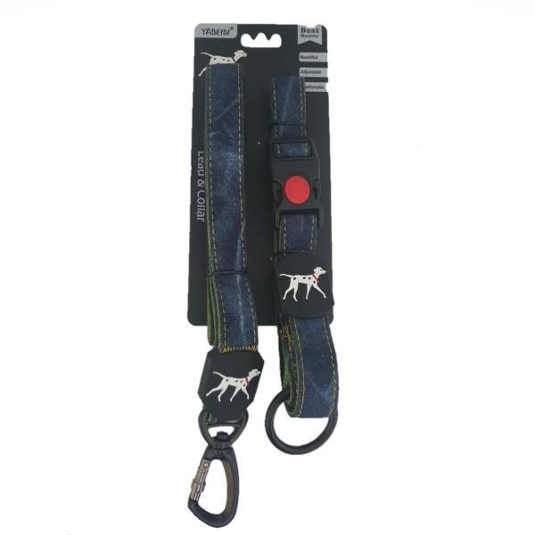 Large Pet Lead & Collar Set - Green & Denim - 4aPet