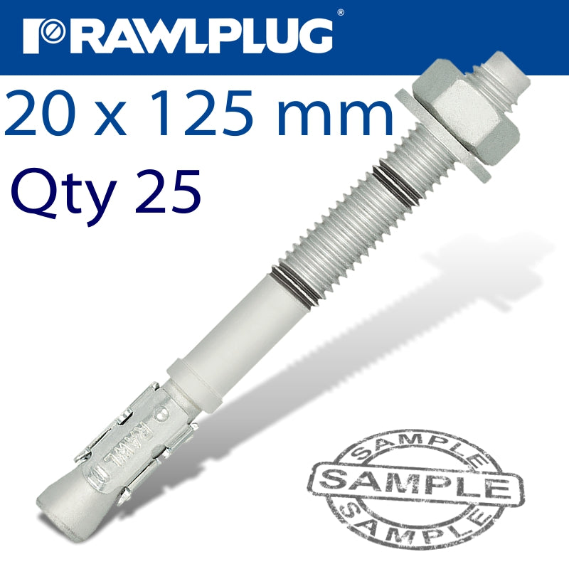 rawlplug-throughbolt-20x125x5mm-zinc-flake-25--box-raw-r-hptiizf-20125-5-1