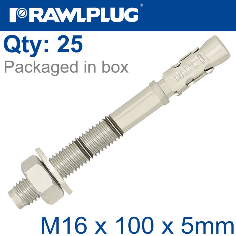 rawlplug-throughbolt-m16x100x5mm-x25--box-raw-r-xpt-16100-5-1