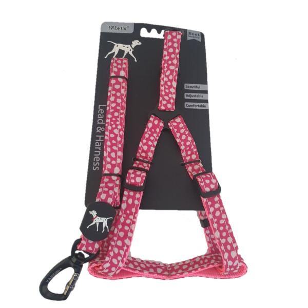 Small Pet Leash & Harness Set - Assorted Colours