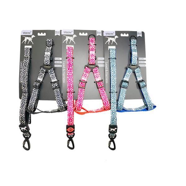 Small Pet Leash & Harness Set - Assorted Colours - 4aPet