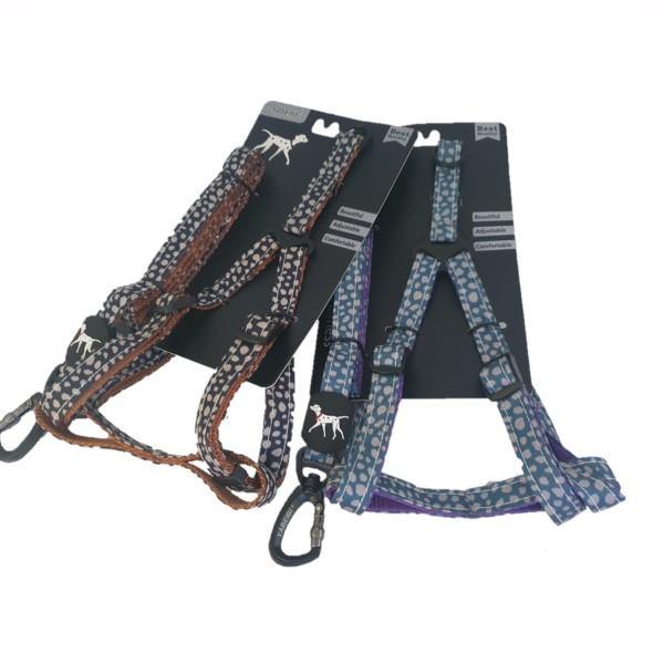 Small Pet Leash & Harness Set - Assorted Colours - 4aPet